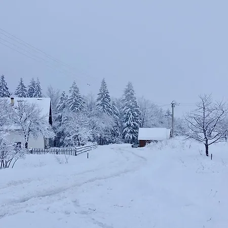 Milic * קאלודיירסקה בארה