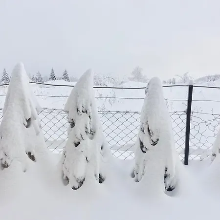 Milic קאלודיירסקה בארה