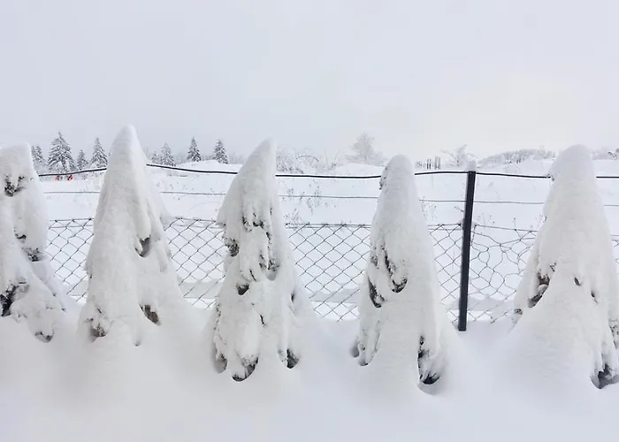 Milic Kaludjerske Bare